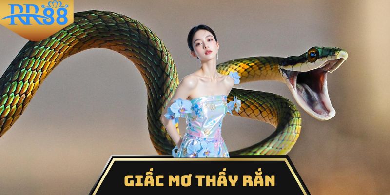 Mơ thấy rắn